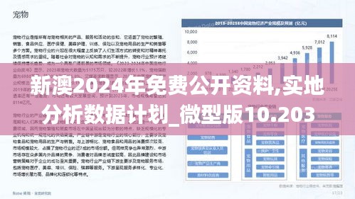 2025新澳精准正版免費資料全面释义与解释落实