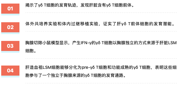 新澳2025精准正版免費資料详解释义、解释落实