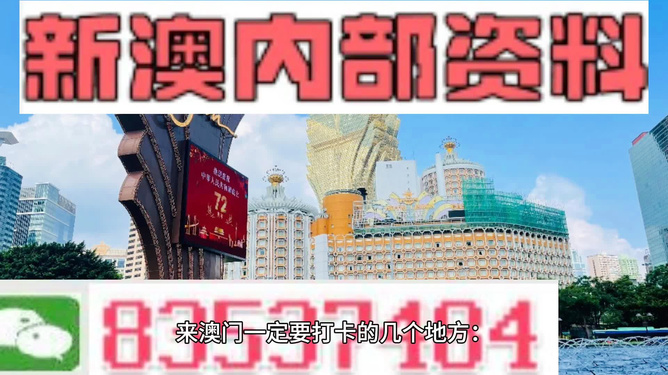 2025新澳门王中王，正版全面释义与实施路径探索