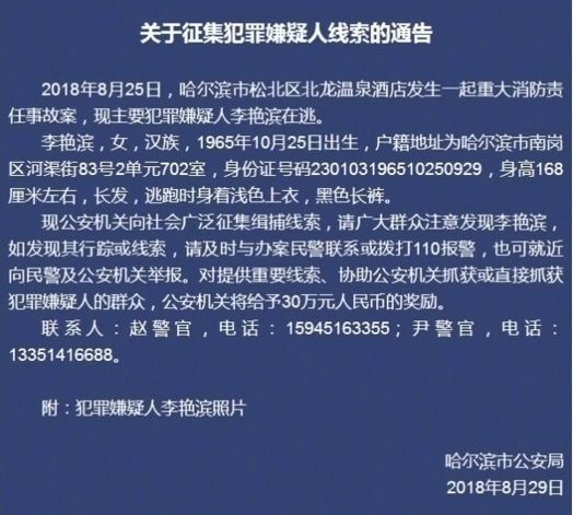 2025新澳门天天精准免费大全，全面释义与落实的展望