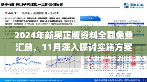 2025新澳精准正版免费资料，全面释义与解释落实